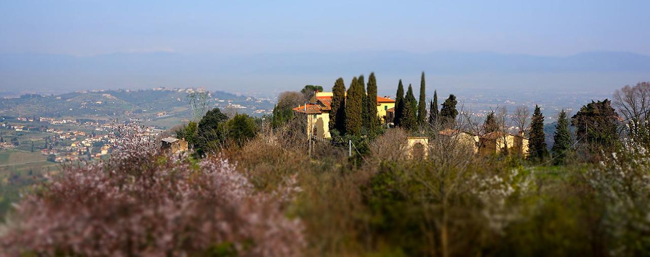 Agriturismo Frigionaia Carmignano Exterior photo